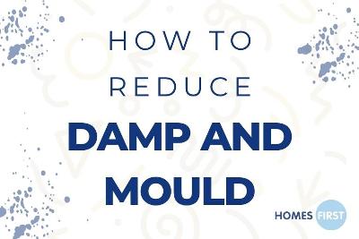 Damp and Mould Image for Damp and Mould