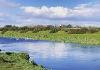 Nearly 200 attend rights of rivers event