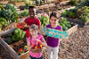 Community Grants programme