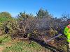 Fire at Butts Brow