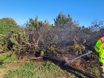 Fire at Butts Brow
